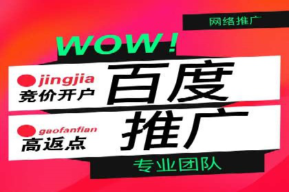 成功案例：百度包年竞价如何助力电商发展